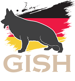logo-white